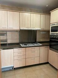 The Tessarina (D10), Condominium #421929271